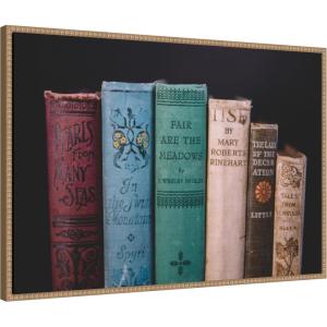 imageKate and Laurel Vintage Classic Books Framed Canvas Wall Art by Patricia Rae 33 x 23 Sylvie Beaded Rustic Natural Vintage Still Life Entertainment Art for Wall Decor Living Room Bedroom