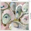imageKate and Laurel Sylvie Neutral Painterly Oyster Roast 2 Framed Canvas Wall Art by Mary Sparrow 30 x 30 Beaded White Coastal Abstract Beach Art for Wall Decor Living Room Bedroom Office KitchenBeaded White