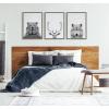 imageKate and Laurel Sylvie Bear Deer and Wolf Framed Canvas Wall Art Set by Simon Te of Tai Prints 3 Piece Set 18x24 Gray Animal And Nature Home DcorGray