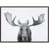 imageKate and Laurel Sylvie Moose Black and White Framed Canvas Wall Art by Amy Peterson Art Studio 23x33 Brown Modern Animal Portrait Art for WallBrown