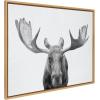 imageKate and Laurel Sylvie Moose Black and White Framed Canvas Wall Art by Amy Peterson Art Studio 23x33 Brown Modern Animal Portrait Art for WallNatural