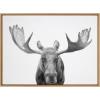 imageKate and Laurel Sylvie Moose Black and White Framed Canvas Wall Art by Amy Peterson Art Studio 23x33 Brown Modern Animal Portrait Art for WallNatural