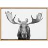 imageKate and Laurel Sylvie Moose Black and White Framed Canvas Wall Art by Amy Peterson Art Studio 23x33 Brown Modern Animal Portrait Art for WallNatural