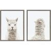 imageKate and Laurel Sylvie Alpaca Front and Back Framed Canvas Wall Art by Amy Peterson Set of 2 18x24 Gray Adorable Animal Wall DecorGrey