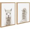 imageKate and Laurel Sylvie Alpaca Front and Back Framed Canvas Wall Art by Amy Peterson Set of 2 18x24 Gray Adorable Animal Wall DecorNatural