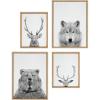 imageKate and Laurel Sylvie Deer Wolf Bear European and Cervus Elaphus The Red Deer Black and White Framed Canvas Wall Art Set by Simon Te of Tai Prints 4 Piece Set Natural Animal Portrait Art