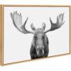 imageKate and Laurel Sylvie Moose Black and White Framed Canvas Wall Art by Amy Peterson Art Studio 23x33 Brown Modern Animal Portrait Art for WallNatural
