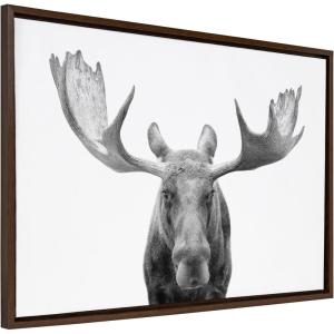 imageKate and Laurel Sylvie Moose Black and White Framed Canvas Wall Art by Amy Peterson Art Studio 23x33 Brown Modern Animal Portrait Art for WallBrown