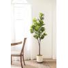 imageKate and Laurel Fidmont Modern Faux Fiddle Fig Tree 6 FT Potted Artificial Fiddle Leaf Tree Indoor with Realistic Foliage and Additional Decorative Moss Fake Plant for Living Room Decor5ft 11in