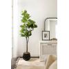 imageKate and Laurel Fidmont Modern Faux Fiddle Fig Tree 6 FT Potted Artificial Fiddle Leaf Tree Indoor with Realistic Foliage and Additional Decorative Moss Fake Plant for Living Room Decor5ft 11in