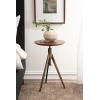 imageKate and Laurel Keres Modern AdjustableHeight Round Tripod Side Table 16 x 16 x 28 Natural Wood and Black Transitional Circle End Table for Use as Indoor Plant Stand or Bedroom NightstandWalnut BrownGold