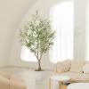 imageOlive Tree 8ft 96quot  Olive Trees Artificial Indoor with Natural Wood Trunk and Lifelike Fruits  Faux Olive Tree 8ft for Modern Home Office House Living Room Decor7ft