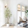 imageOlive Tree 8ft 96quot  Olive Trees Artificial Indoor with Natural Wood Trunk and Lifelike Fruits  Faux Olive Tree 8ft for Modern Home Office House Living Room Decor6ft