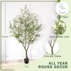 imageOlive Tree 8ft 96quot  Olive Trees Artificial Indoor with Natural Wood Trunk and Lifelike Fruits  Faux Olive Tree 8ft for Modern Home Office House Living Room Decor7ft