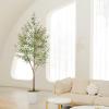 imageOlive Tree 8ft 96quot  Olive Trees Artificial Indoor with Natural Wood Trunk and Lifelike Fruits  Faux Olive Tree 8ft for Modern Home Office House Living Room Decor8ft