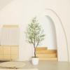 imageOlive Tree 8ft 96quot  Olive Trees Artificial Indoor with Natural Wood Trunk and Lifelike Fruits  Faux Olive Tree 8ft for Modern Home Office House Living Room Decor6ft