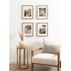 imageKate and Laurel Adlynn Coastal Rectangle Picture Frame Set of 3 16 x 20 matted to 8 x 10 White Modern ThreePiece Photo Frame Set for Gallery Wall Decor in Living Room Wall DisplayBrown
