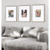 imageKate and Laurel Adlynn Coastal Rectangle Picture Frame Set of 3 16 x 20 matted to 8 x 10 White Modern ThreePiece Photo Frame Set for Gallery Wall Decor in Living Room Wall DisplaySilver
