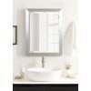 imageKate and Laurel Cressna Traditional Framed Rectangle Bathroom Vanity Mirror274L x 214W