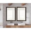imageKate and Laurel Galiano Traditional Framed Rectangle Bathroom Vanity Mirror405L x 285W