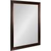 imageKate and Laurel Galiano Traditional Framed Rectangle Bathroom Vanity Mirror405L x 285W
