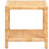 imageKate and Laurel Rafina Coastal Rectangle Rattan Side Table 22 x 14 x 24 Natural Brown Transitional Boho Rectangular Woven Rattan End Table for Use as Living Room Decor Accent