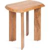 imageKate and Laurel Vaux Modern Mango Wood Rectangular Side Table 22 x 14 x 22 Natural Wood Transitional Rectangle End Table with Angled Tabletop Edge for Bedroom Nightstand or Indoor Plant Stand