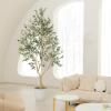 image8ft Faux Olive Tree  Olive Trees Artificial Indoor with Large Olive Branches and Lifelike Olive  Artificial Olive Tree for Home Office House Living Room Decor8ft