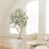 image8ft Faux Olive Tree  Olive Trees Artificial Indoor with Large Olive Branches and Lifelike Olive  Artificial Olive Tree for Home Office House Living Room Decor6ft