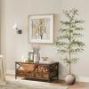 imageBlack Olive Tree 7ft  Faux Black Olive Tree with Natural Trunk and Realistic Leaves  Artificial Shady Lady Tree for Modern Home Office House Living Room Decor