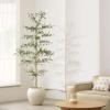 imageBlack Olive Tree 7ft  Faux Black Olive Tree with Natural Trunk and Realistic Leaves  Artificial Shady Lady Tree for Modern Home Office House Living Room Decor