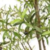 imageFaux Olive Tree 8ft  Olive Trees Artificial Indoor with Realistic Leaves and Olives  Tall Fake Olive Tree with Pot for Indoor Outdoor Office Home Decor7ft