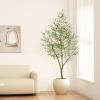 imageFaux Olive Tree 8ft  Olive Trees Artificial Indoor with Realistic Leaves and Olives  Tall Fake Olive Tree with Pot for Indoor Outdoor Office Home Decor7ft