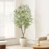 imageFaux Olive Tree 8ft  Olive Trees Artificial Indoor with Realistic Leaves and Olives  Tall Fake Olive Tree with Pot for Indoor Outdoor Office Home Decor8ft