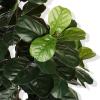imageFiddle Leaf Fig Tree Artificial  6ft Faux Fiddle Leaf Fig Tree with White Planter  Fig Tree Artificial with Lifelike Leaves for House Office Living Room Indoor Home Decor