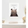 imageKate and Laurel Bear Just Roll with It Bathroom Framed Canvas Wall Art by Amy Peterson 18 x 24 Sylvie White Whimsical Humor Animals Bathroom Art for Wall Decor Living Room Bedroom