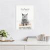 imageKate and Laurel Cat Laundry Goals Framed Canvas Wall Art by Amy Peterson 18 x 24 Sylvie White Whimsical Animals Humor Art for Wall Decor Living Room Bedroom