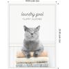 imageKate and Laurel Cat Laundry Goals Framed Canvas Wall Art by Amy Peterson 18 x 24 Sylvie White Whimsical Animals Humor Art for Wall Decor Living Room Bedroom