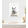 imageKate and Laurel Cat Laundry Goals Framed Canvas Wall Art by Amy Peterson 18 x 24 Sylvie White Whimsical Animals Humor Art for Wall Decor Living Room Bedroom