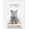 imageKate and Laurel Cat Laundry Goals Framed Canvas Wall Art by Amy Peterson 18 x 24 Sylvie White Whimsical Animals Humor Art for Wall Decor Living Room Bedroom
