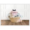 imageKate and Laurel Cat in a Basket Traditional Laundry Framed Canvas Wall Art by Amy Peterson 24 x 18 Sylvie White Whimsical Animals Laundry Art for Wall Decor Living Room Bedroom