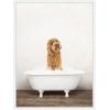 imageKate and Laurel Golden Labradoodle in Rustic Bath Style Framed Canvas Wall Art by Amy Peterson 18 x 24 Sylvie White Farmhouse Animals Bathroom Art for Wall Decor Living Room Bedroom