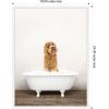imageKate and Laurel Golden Labradoodle in Rustic Bath Style Framed Canvas Wall Art by Amy Peterson 18 x 24 Sylvie White Farmhouse Animals Bathroom Art for Wall Decor Living Room Bedroom