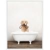 imageKate and Laurel Golden Retriever in Rustic Bath Style Framed Canvas Wall Art by Amy Peterson 18 x 24 Sylvie White Whimsical Animals Bathroom Humor Art for Wall Decor Living Room Bedroom