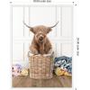 imageKate and Laurel Highland Cow Traditional Laundry Framed Canvas Wall Art by Amy Peterson 18 x 24 Sylvie White Farmhouse Animals Humor Art for Wall Decor Living Room Bedroom