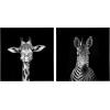 imageKate and Laurel Minimalist Zebra and Giraffe Canvas Wall Art Set by The Creative Bunch Studio 2 Piece 20 x 20 Black and White Decorative Animal Art for Wall