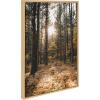 imageKate and Laurel Sylvie A Walk in the Woods Framed Canvas Wall Art by Patricia Hasz of Patricia Rae Photography 23x33 Natural Chic Modern Nature Art for Wall
