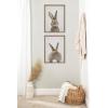 imageKate and Laurel Sylvie Beaded Bunny Portrait on Linen and Bunny Tail on Linen Vintage Framed Canvas Wall Art Set by Amy Peterson 2 Piece Set 18x24 White Cute Animal Art Set for WallGold