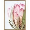 imageKate and Laurel Sylvie Pink Protea Flower Framed Canvas Wall Art by Amy Peterson Art Studio 28 x 38 Gold Beautiful Wild Flower Art for Wall