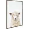 imageKate and Laurel Sylvie Sheep Bangs Portrait Animal Studio Black Nosed Sheep and Dorper Sheep Framed Canvas Wall Art Set by Amy Peterson 3 Piece Set Gray Farm Animal Portrait Art for Wall